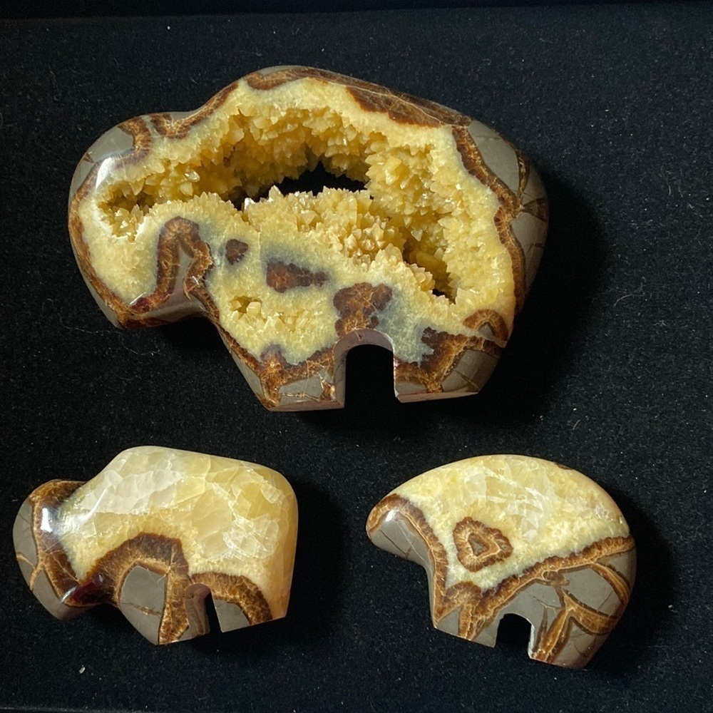 Calcite Crystal Filled, Polished Septarian grouping,, Buffalo, baby & bear